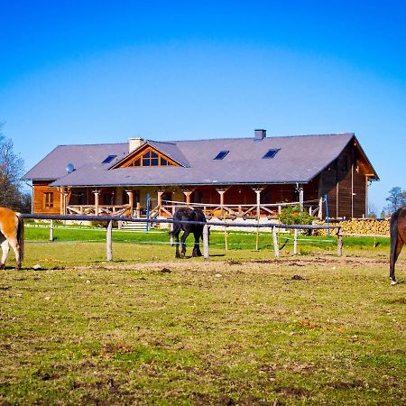 Karkonoskie Siodlo Villa Kostrzyca Exterior foto