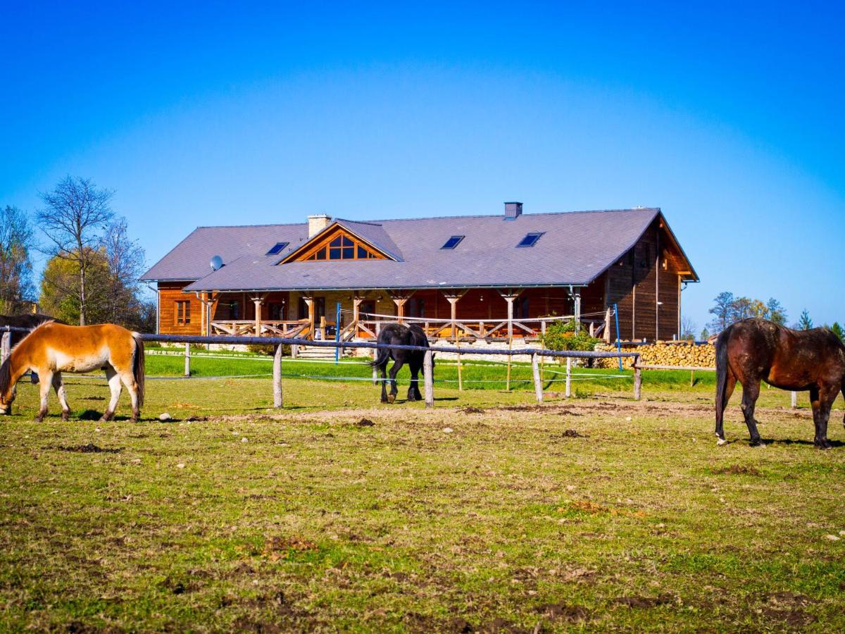 Karkonoskie Siodlo Villa Kostrzyca Exterior foto